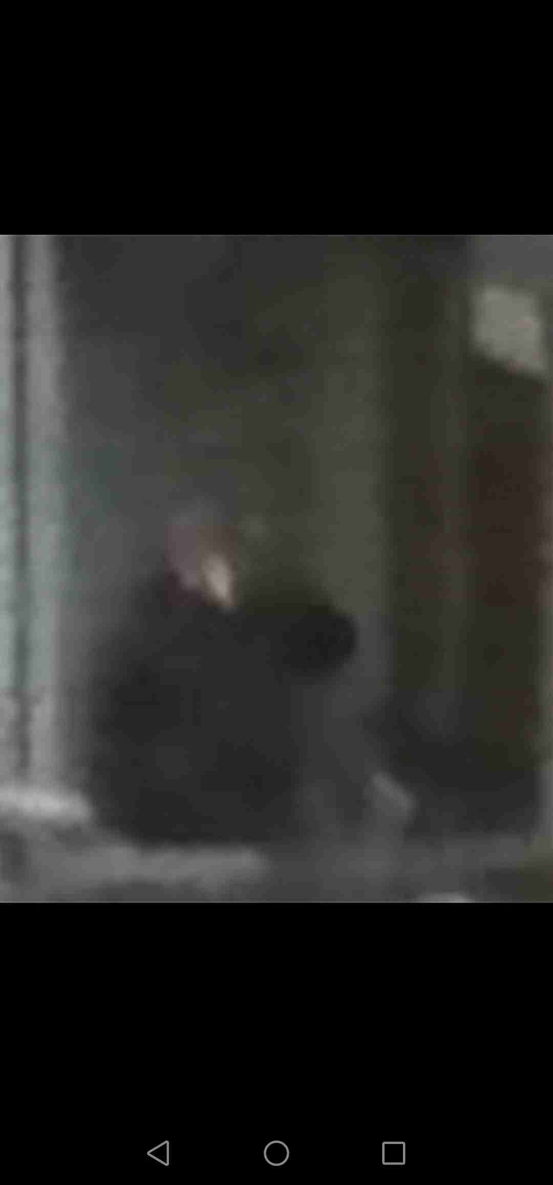 「働かないおじさん」約半数の企業に存在。働かず「スマホゲー」「YouTube鑑賞」