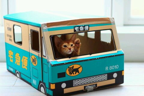 配送荷物からダイヤ原石20個盗む　容疑でヤマト運輸元社員を逮捕　