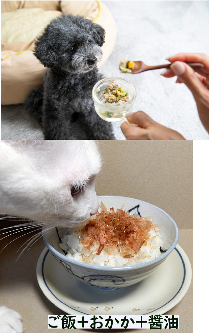 どっちが食べたい?Part 2