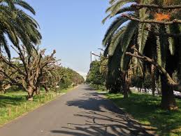 朝ドラ【ちむどんどん】第15週「ウークイの夜」