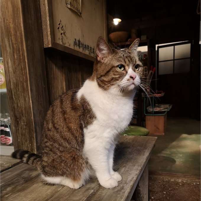 朝ドラ【ちむどんどん】第15週「ウークイの夜」