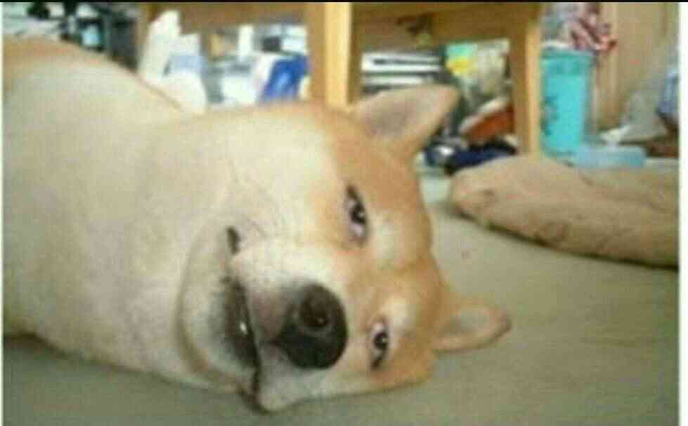 朝ドラ【ちむどんどん】第16週「御三味に愛を込めて」