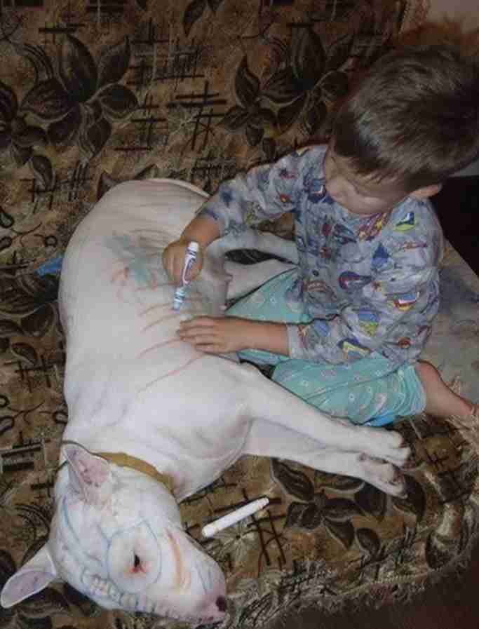 母親「やけに静かだな…」　息子の様子を確認すると？