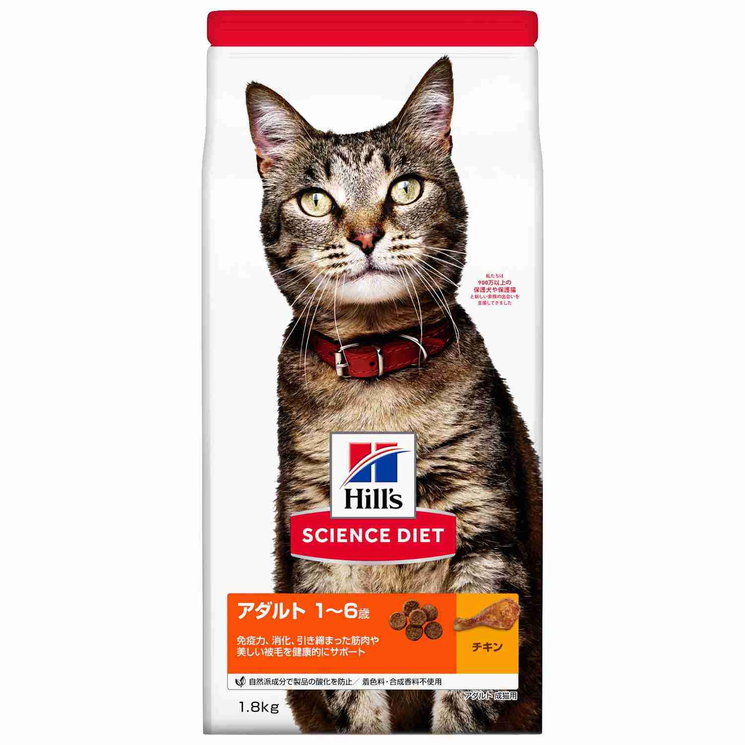 ペットのご飯事情
