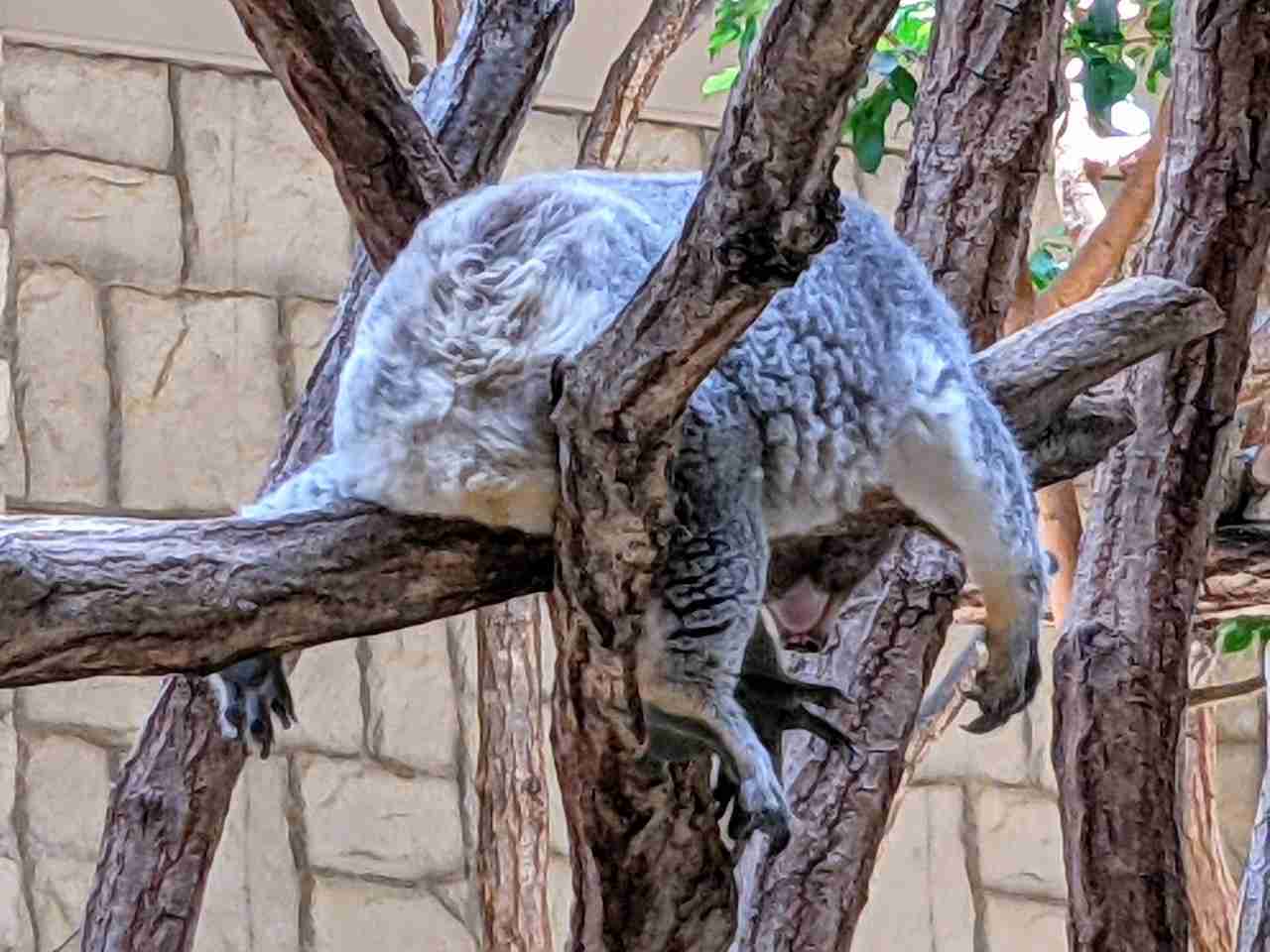 動物園や水族館や博物館好きな人！