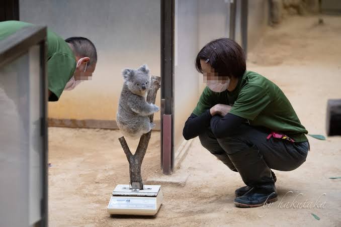 動物園や水族館や博物館好きな人！