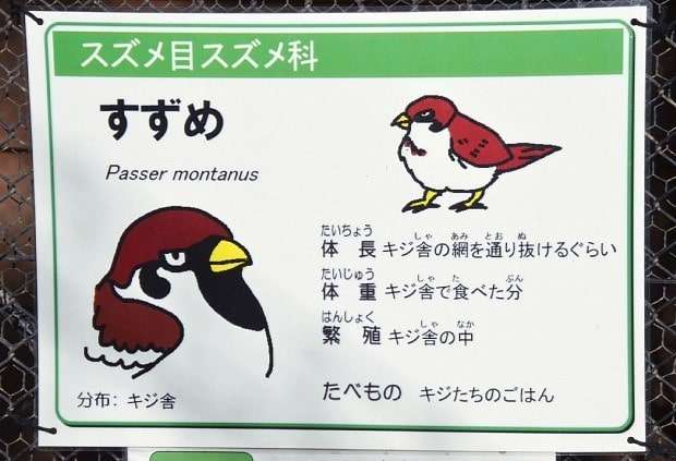 動物園や水族館や博物館好きな人！