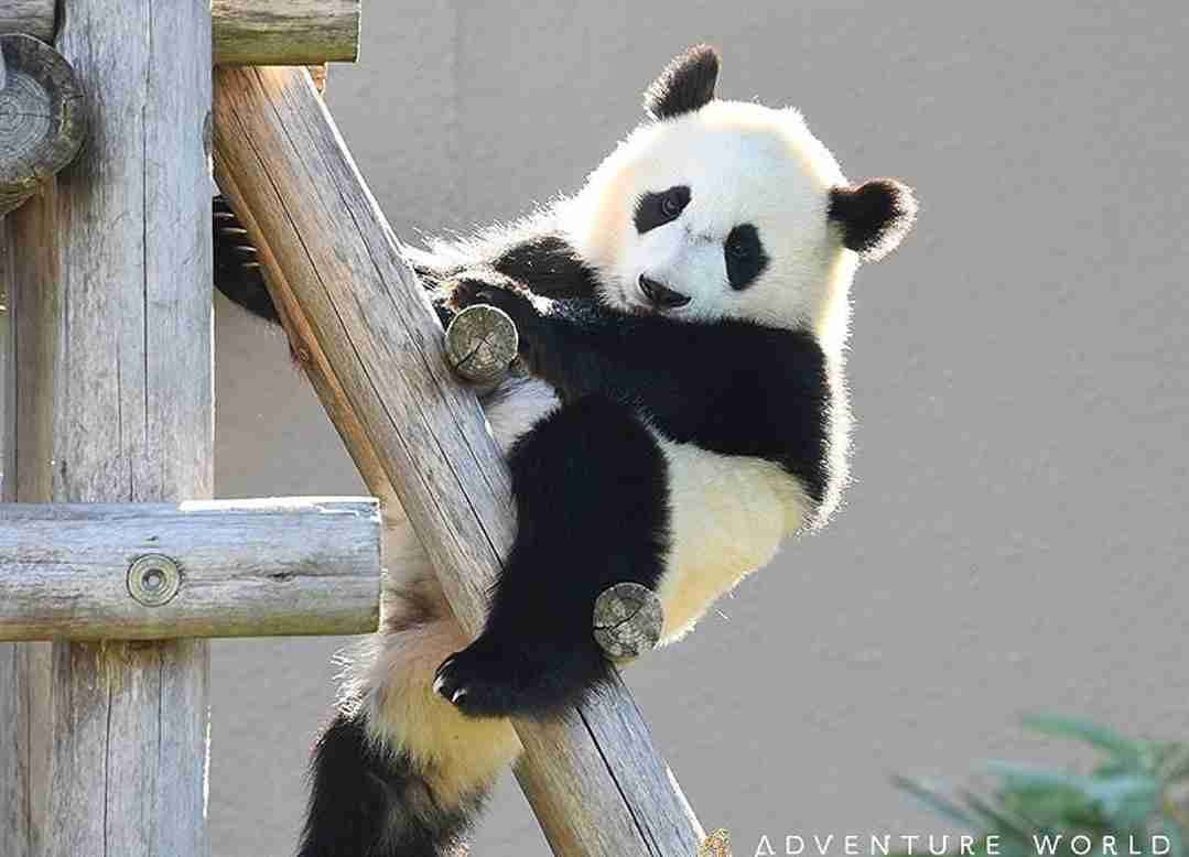 動物園や水族館や博物館好きな人！