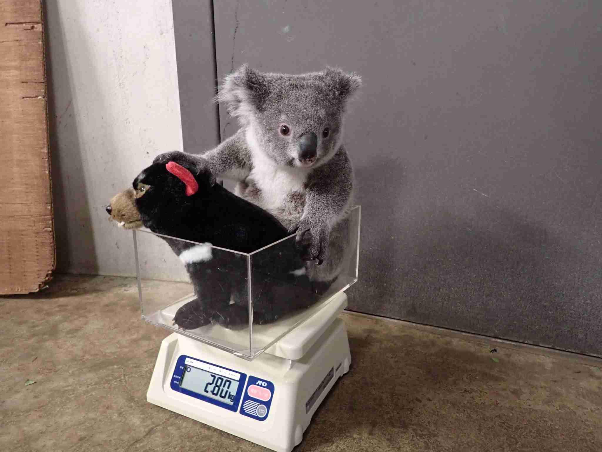 動物園や水族館や博物館好きな人！
