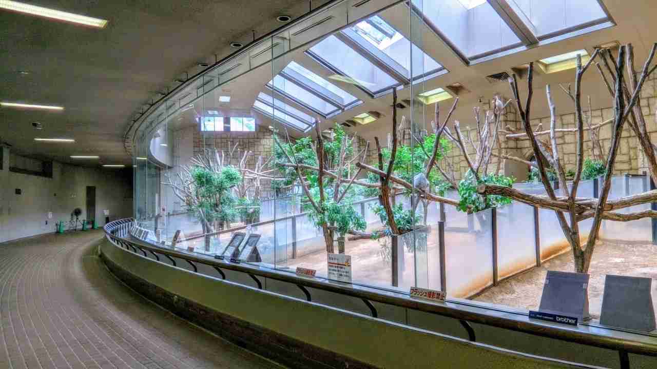 動物園や水族館や博物館好きな人！