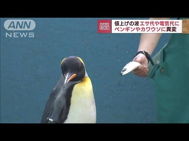 動物園や水族館や博物館好きな人！