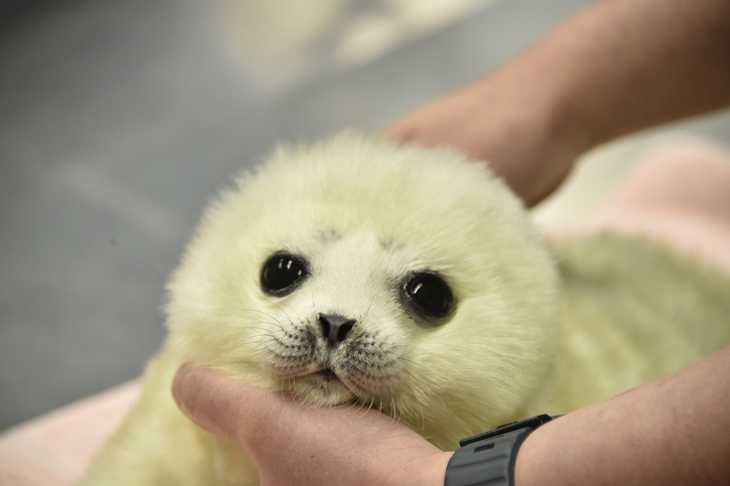 動物園や水族館や博物館好きな人！