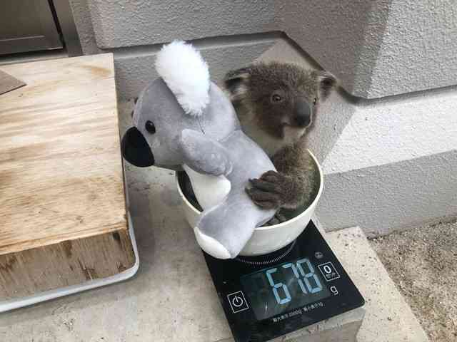 動物園や水族館や博物館好きな人！