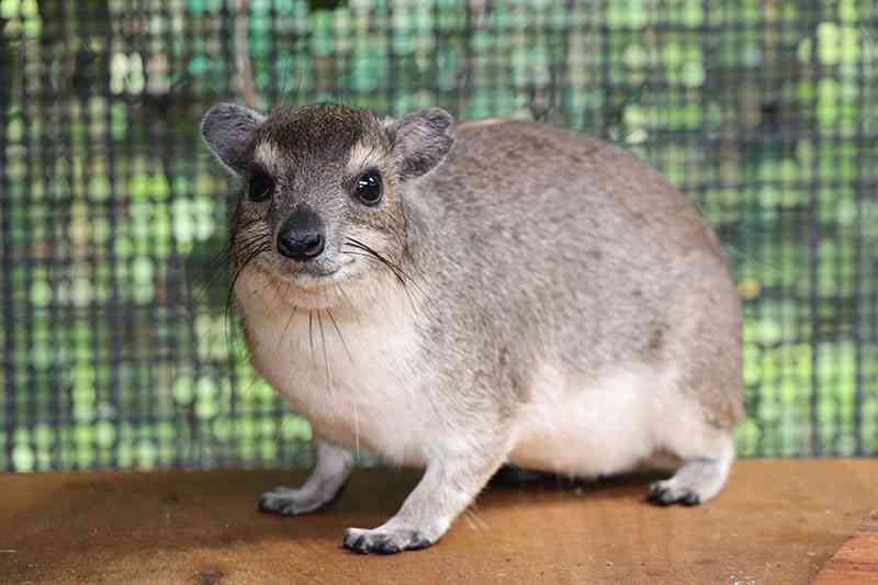 動物園や水族館や博物館好きな人！
