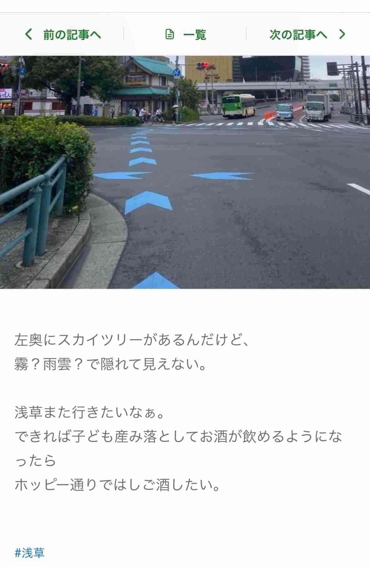 洗脳に虐待報道…あびる優・才賀紀左衛門のひとり娘が“心的ストレス”で起こしていた行動
