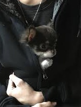 電車内でのエピソード!