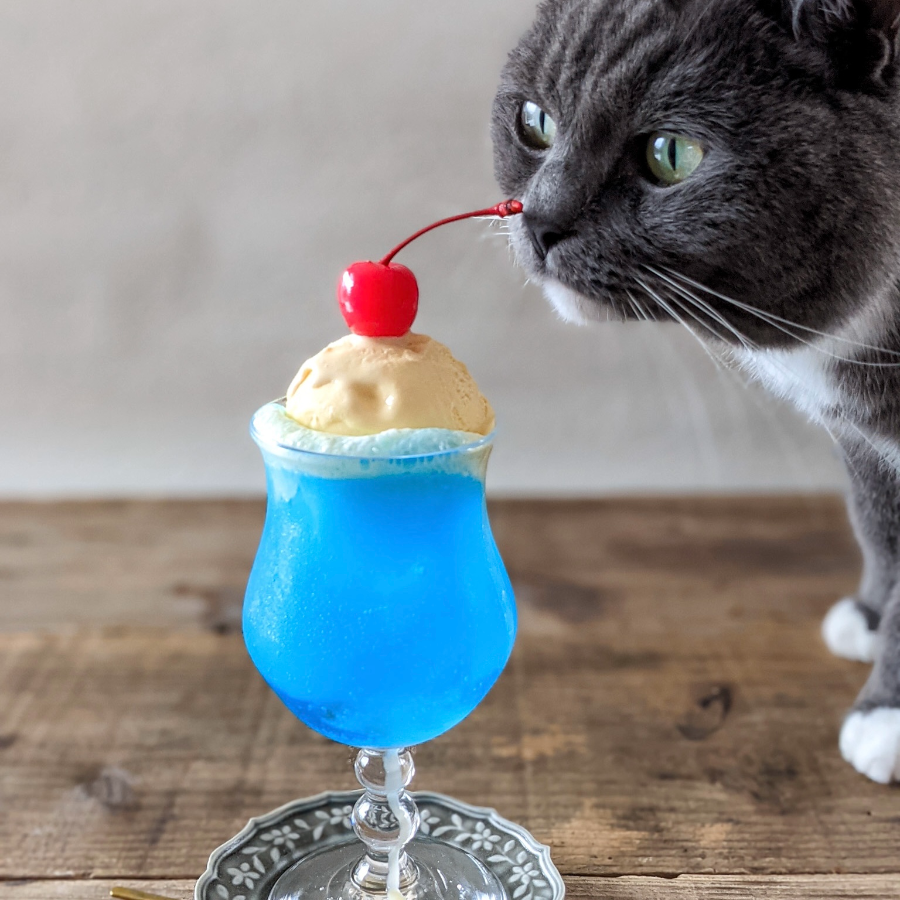 求む!🍹涼しげな食べ物、飲み物画像🍹