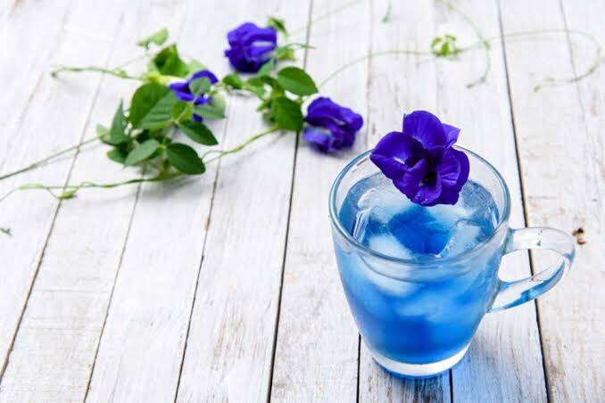 求む!🍹涼しげな食べ物、飲み物画像🍹