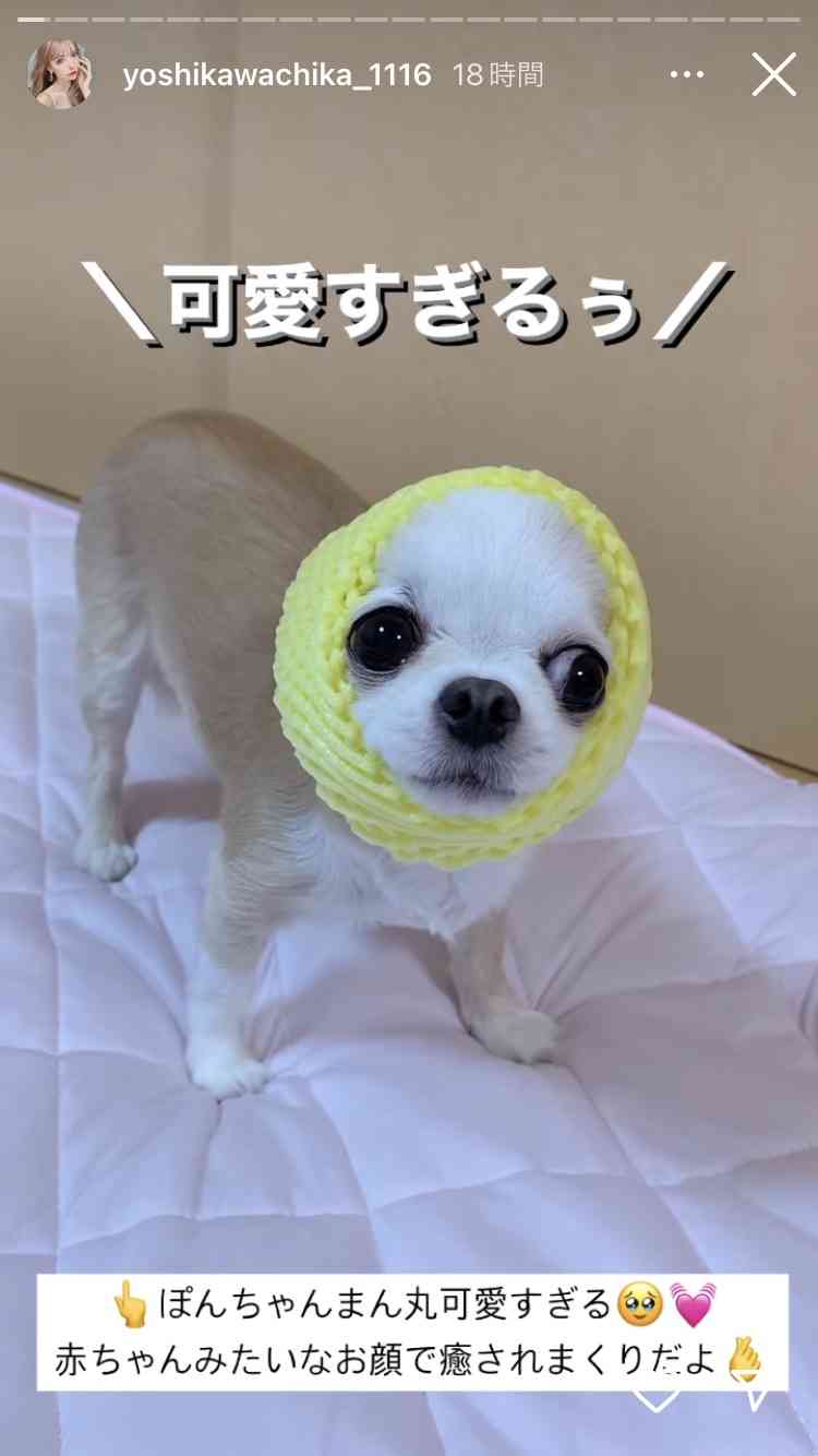 ちょっと一言 〜画像を添えて〜 Part2