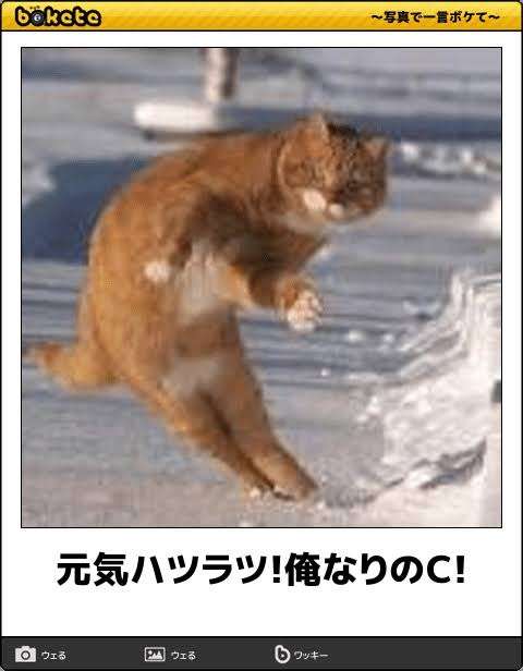 ちょっと一言 〜画像を添えて〜 Part2