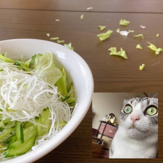 ちょっと一言 〜画像を添えて〜 Part2