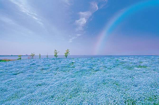 ちょっと一言 〜画像を添えて〜 Part2