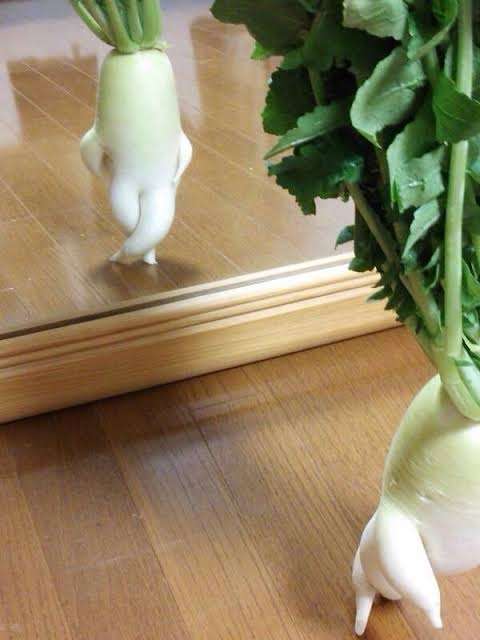 ちょっと一言 〜画像を添えて〜 Part2