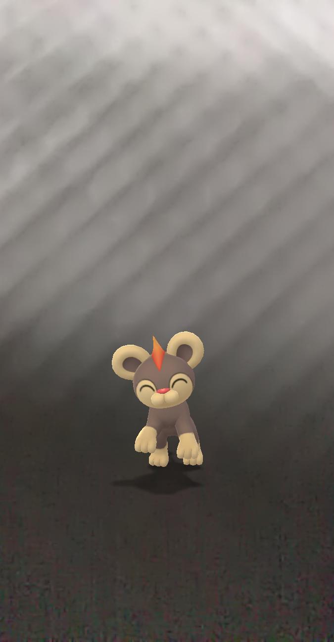 相棒にしたいポケモン