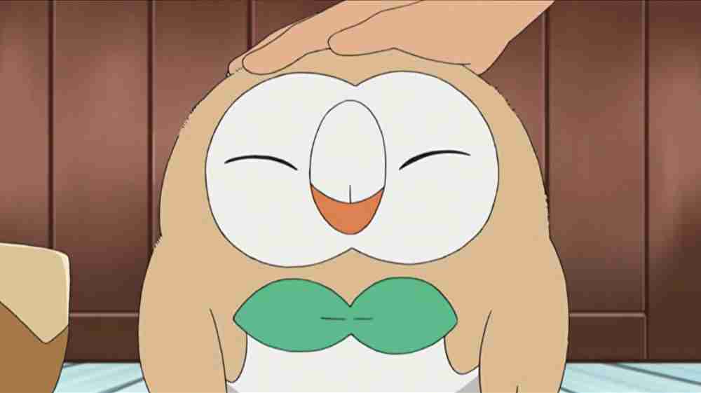 相棒にしたいポケモン