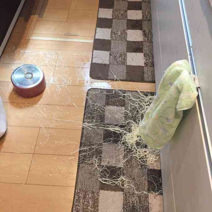 <それはやめて!>床に誤ってこぼされて、いちばん掃除が厄介だったものといえば何?