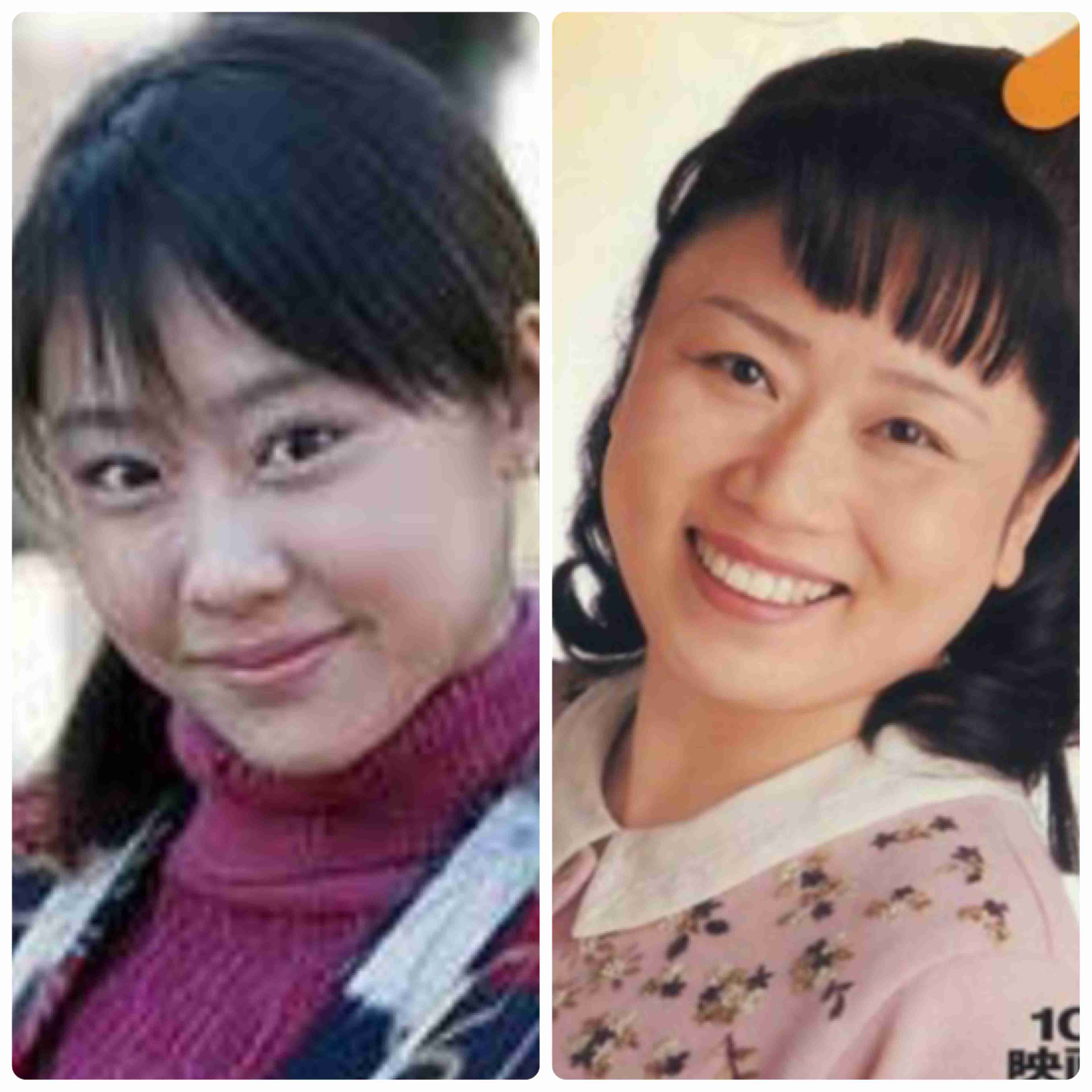 個人的に似てると思っている芸能人 Part2