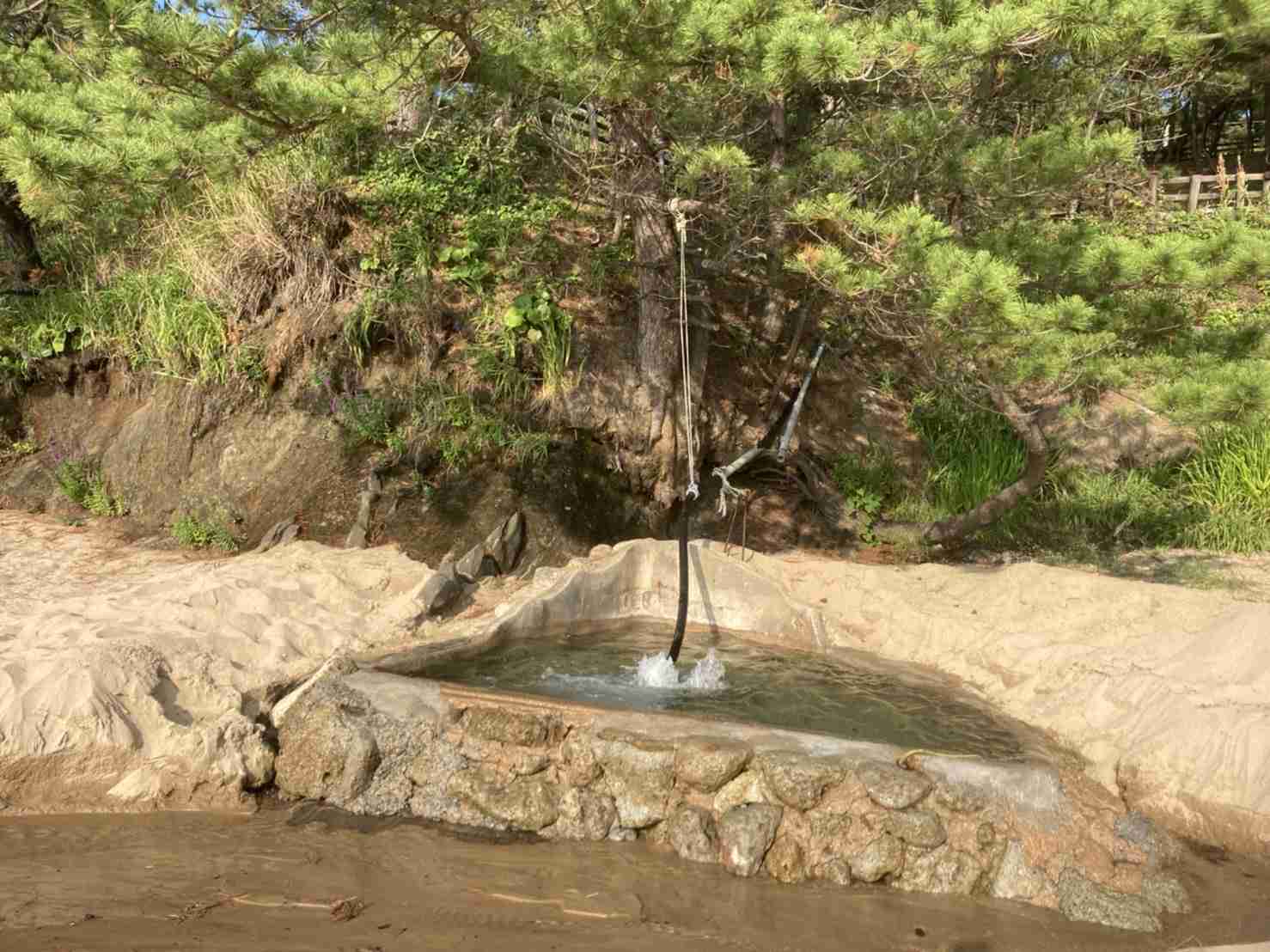 自分で撮ったちょっと残念な写りの写真を貼るトピ