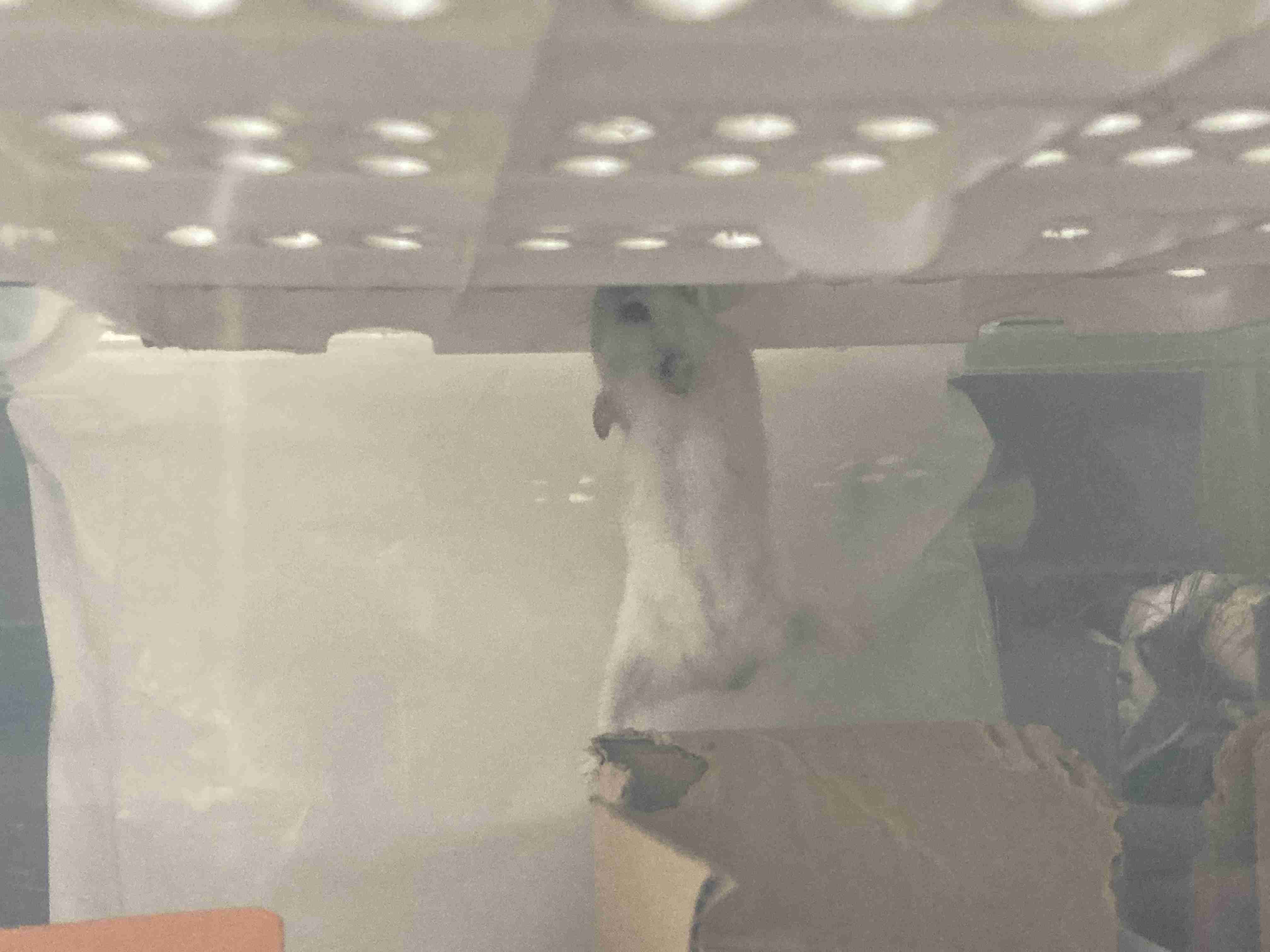 自分で撮ったちょっと残念な写りの写真を貼るトピ