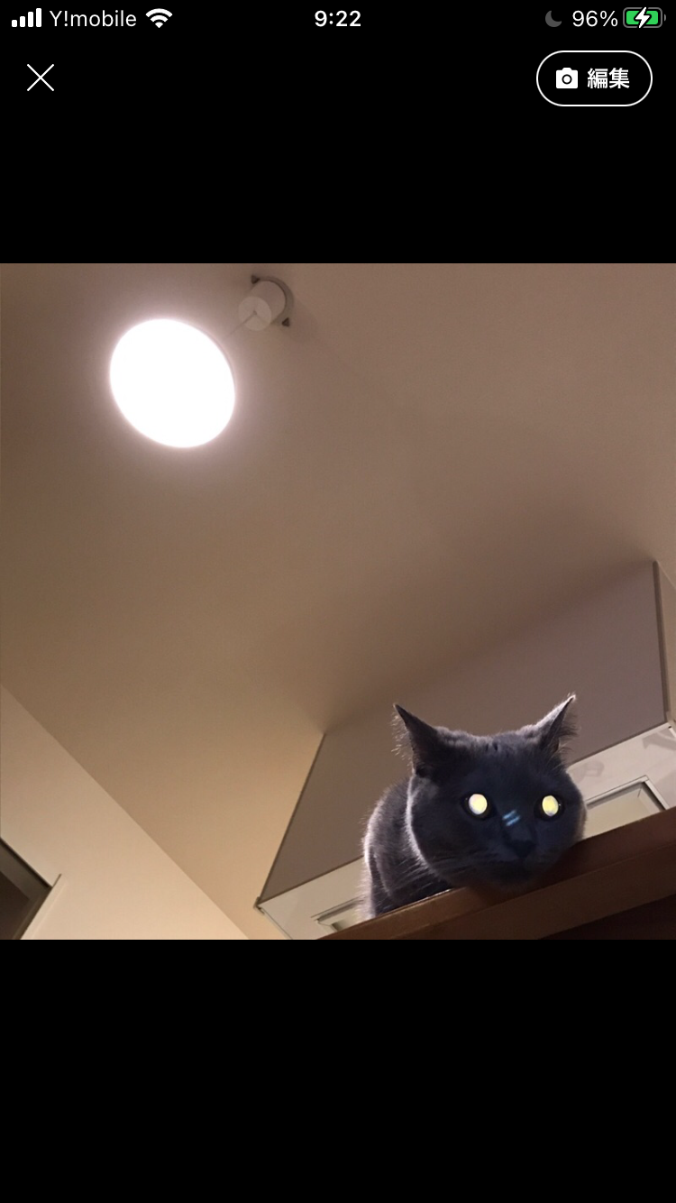 自分で撮ったちょっと残念な写りの写真を貼るトピ