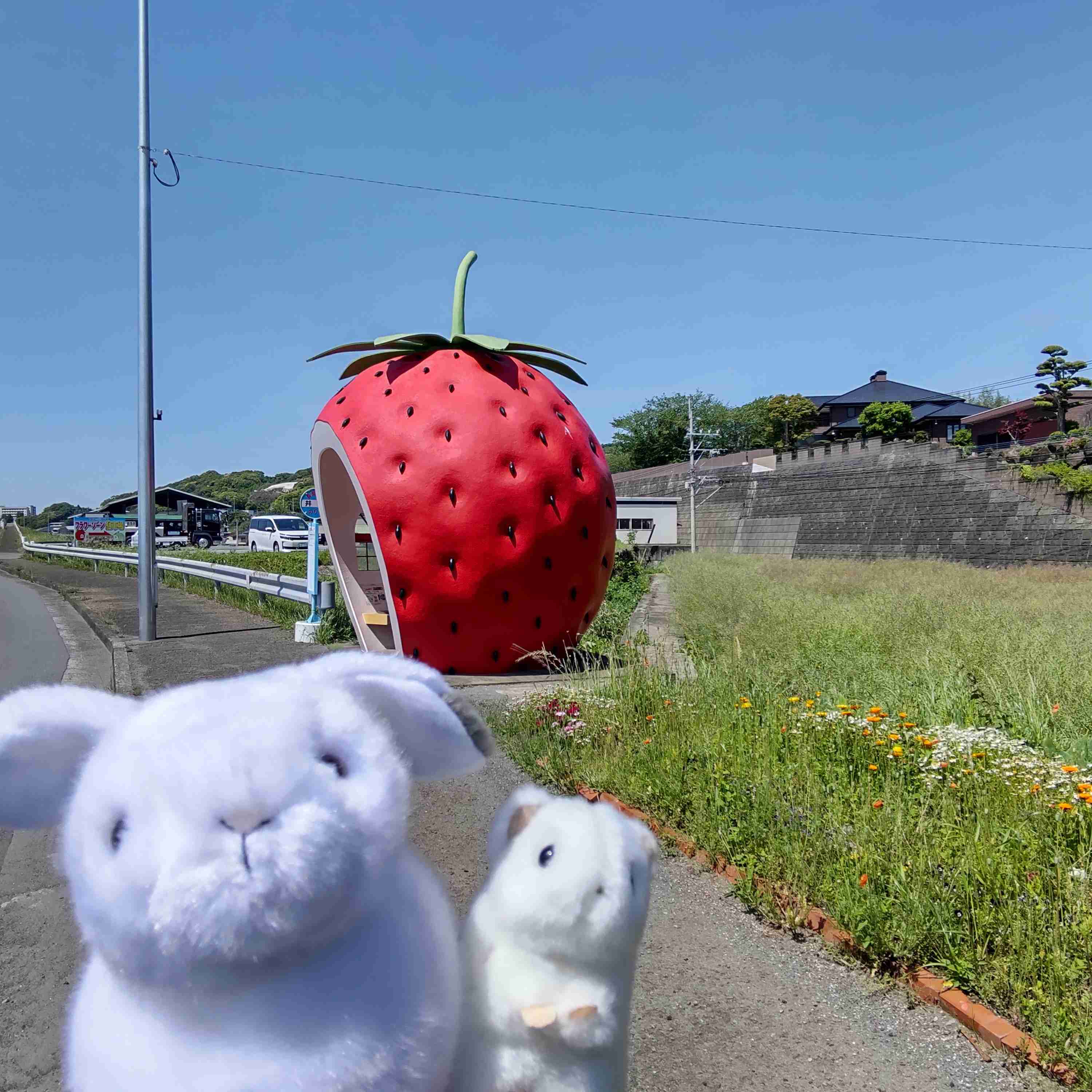 自分で撮ったちょっと残念な写りの写真を貼るトピ