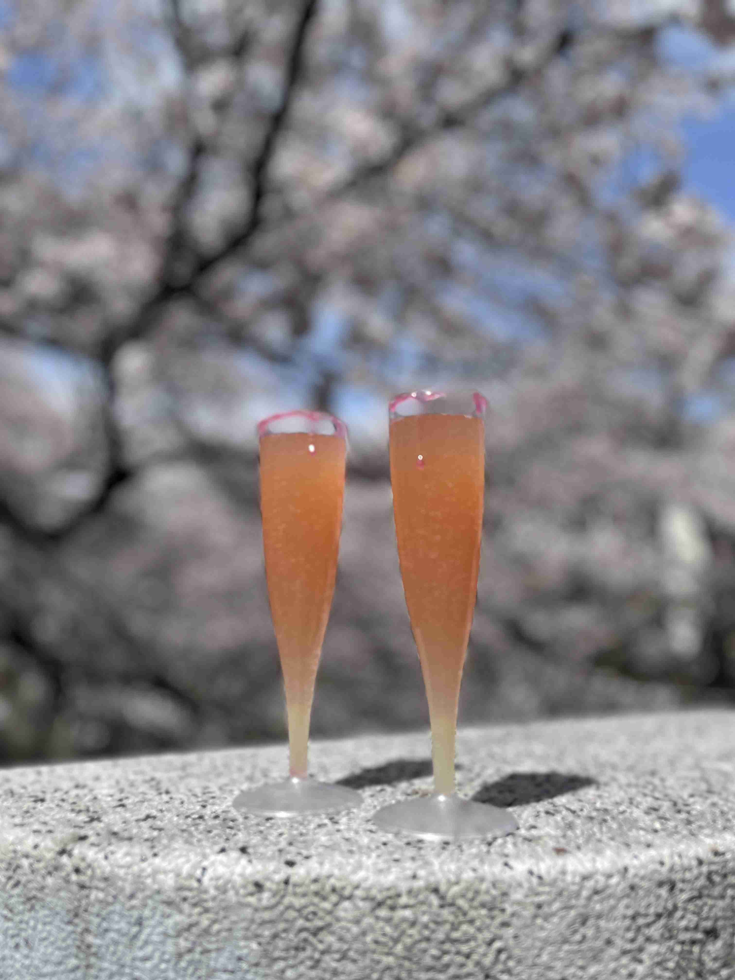 自分で撮ったちょっと残念な写りの写真を貼るトピ