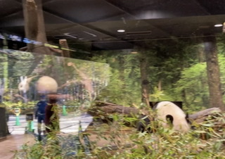 自分で撮ったちょっと残念な写りの写真を貼るトピ