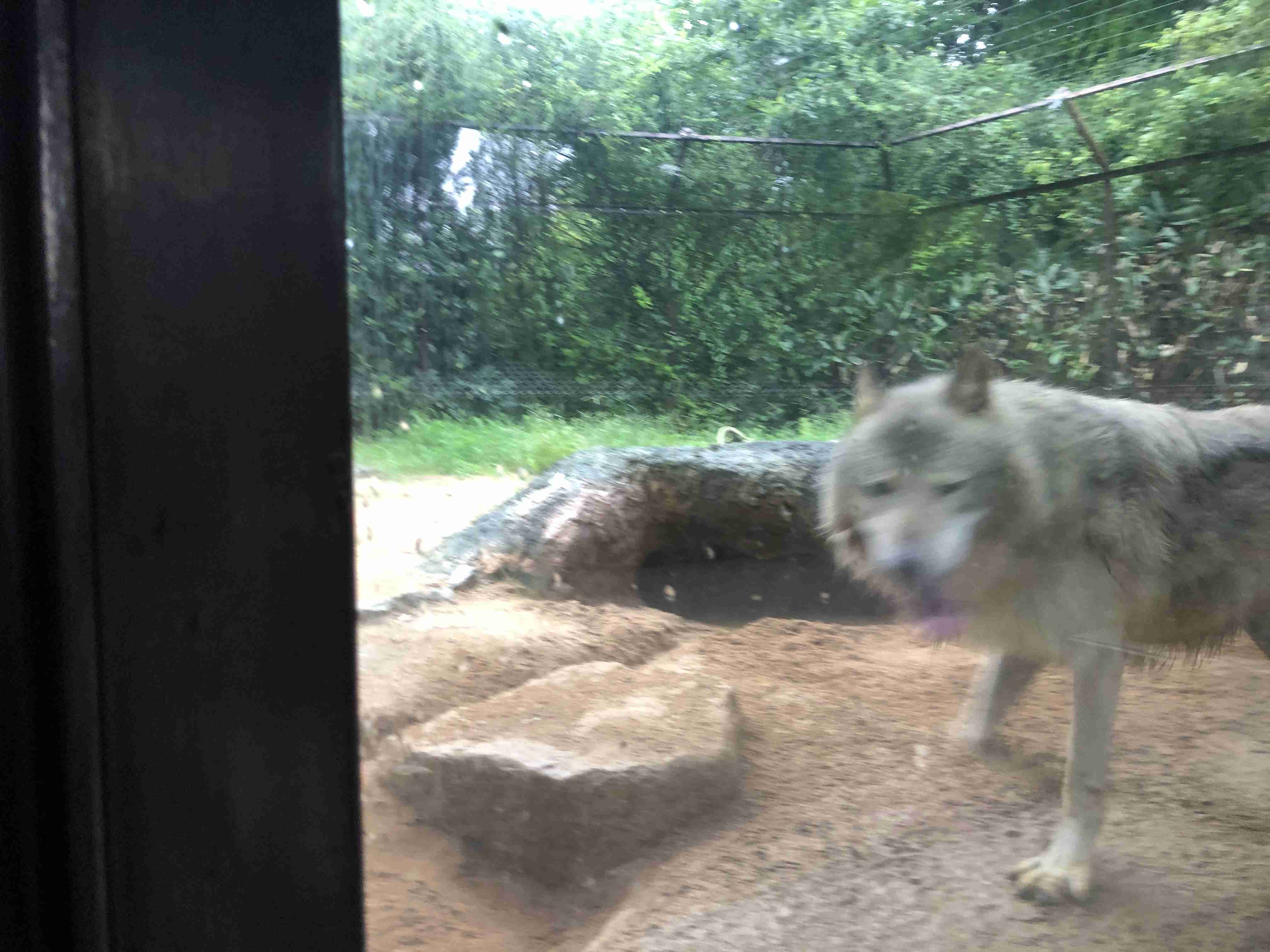 自分で撮ったちょっと残念な写りの写真を貼るトピ