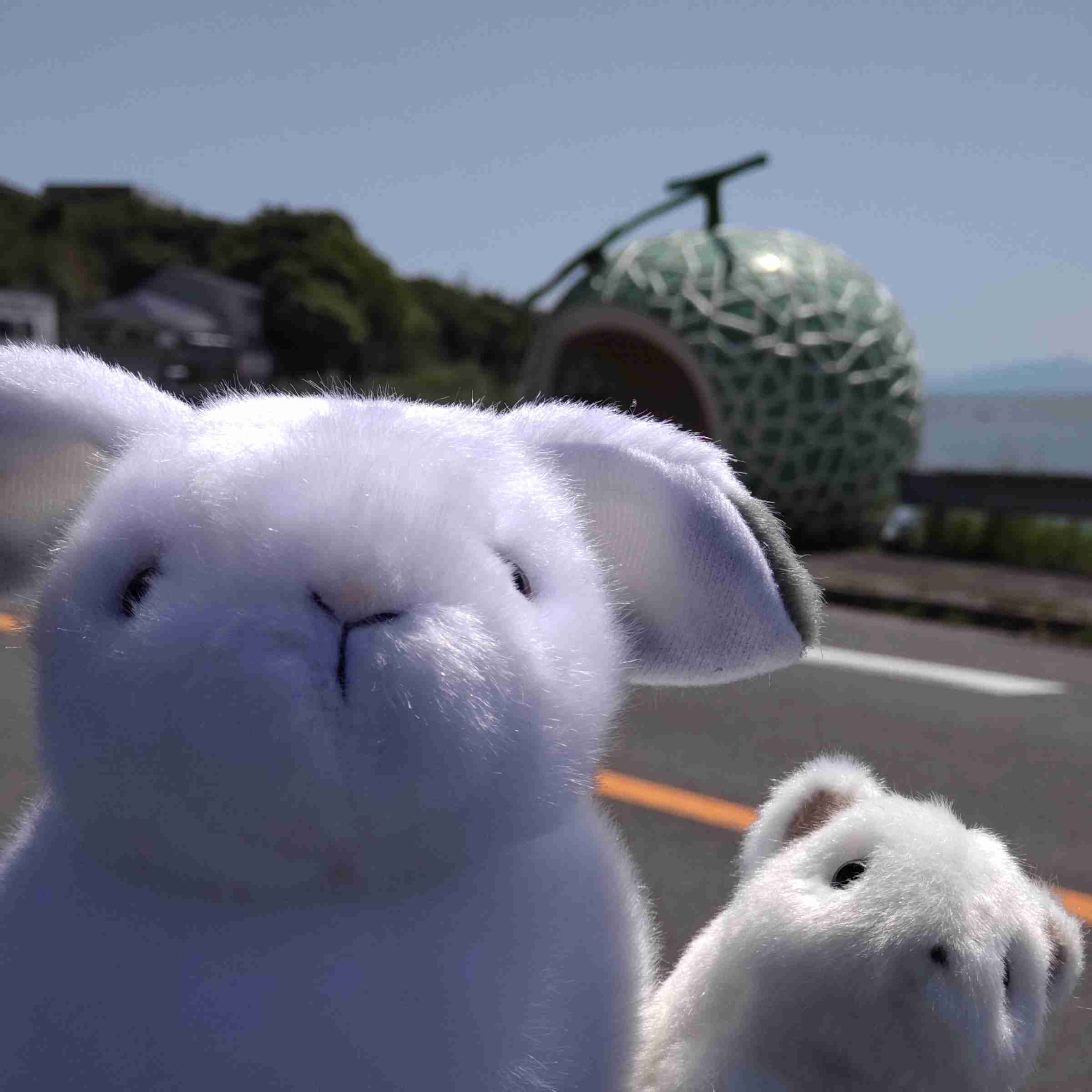 自分で撮ったちょっと残念な写りの写真を貼るトピ