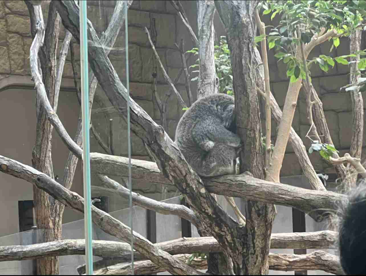 自分で撮ったちょっと残念な写りの写真を貼るトピ