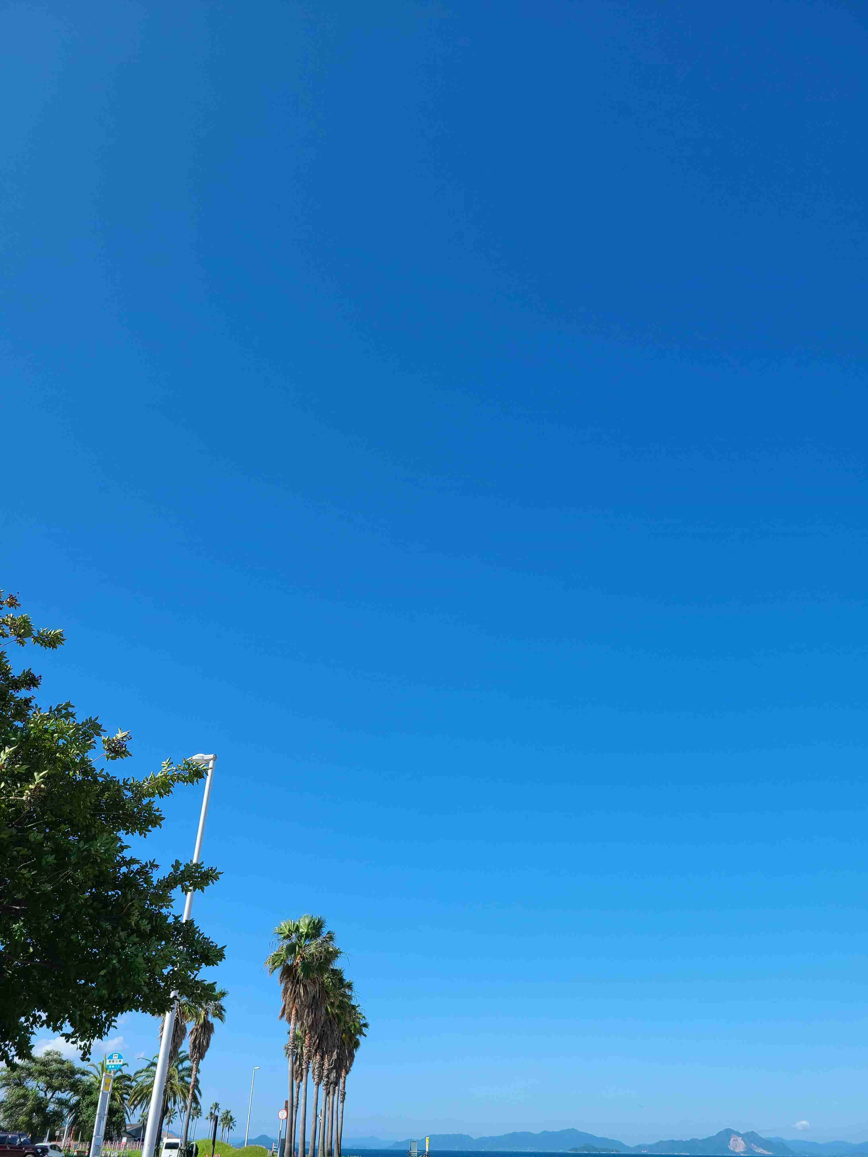 自分で撮ったちょっと残念な写りの写真を貼るトピ