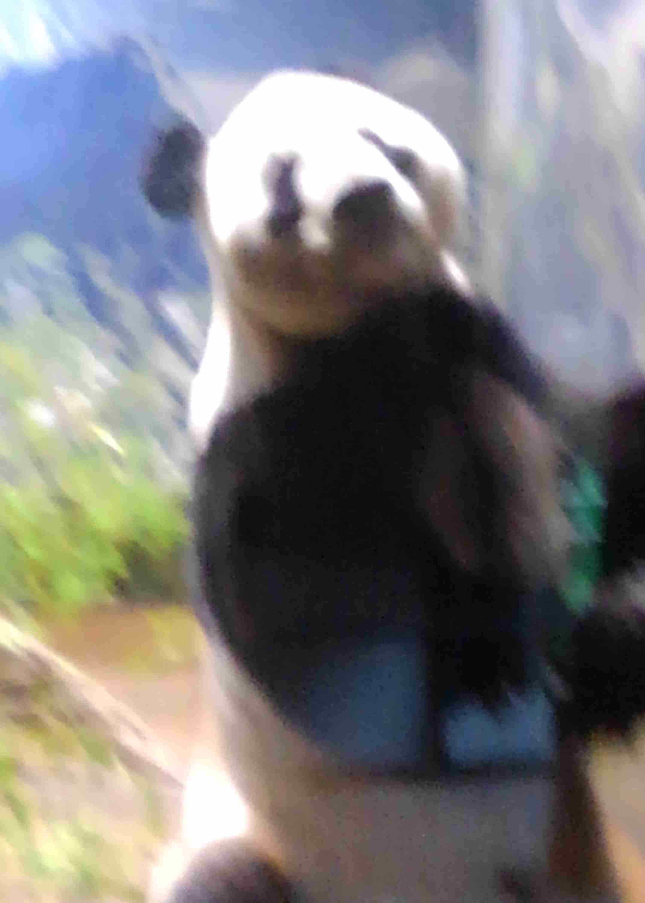 自分で撮ったちょっと残念な写りの写真を貼るトピ