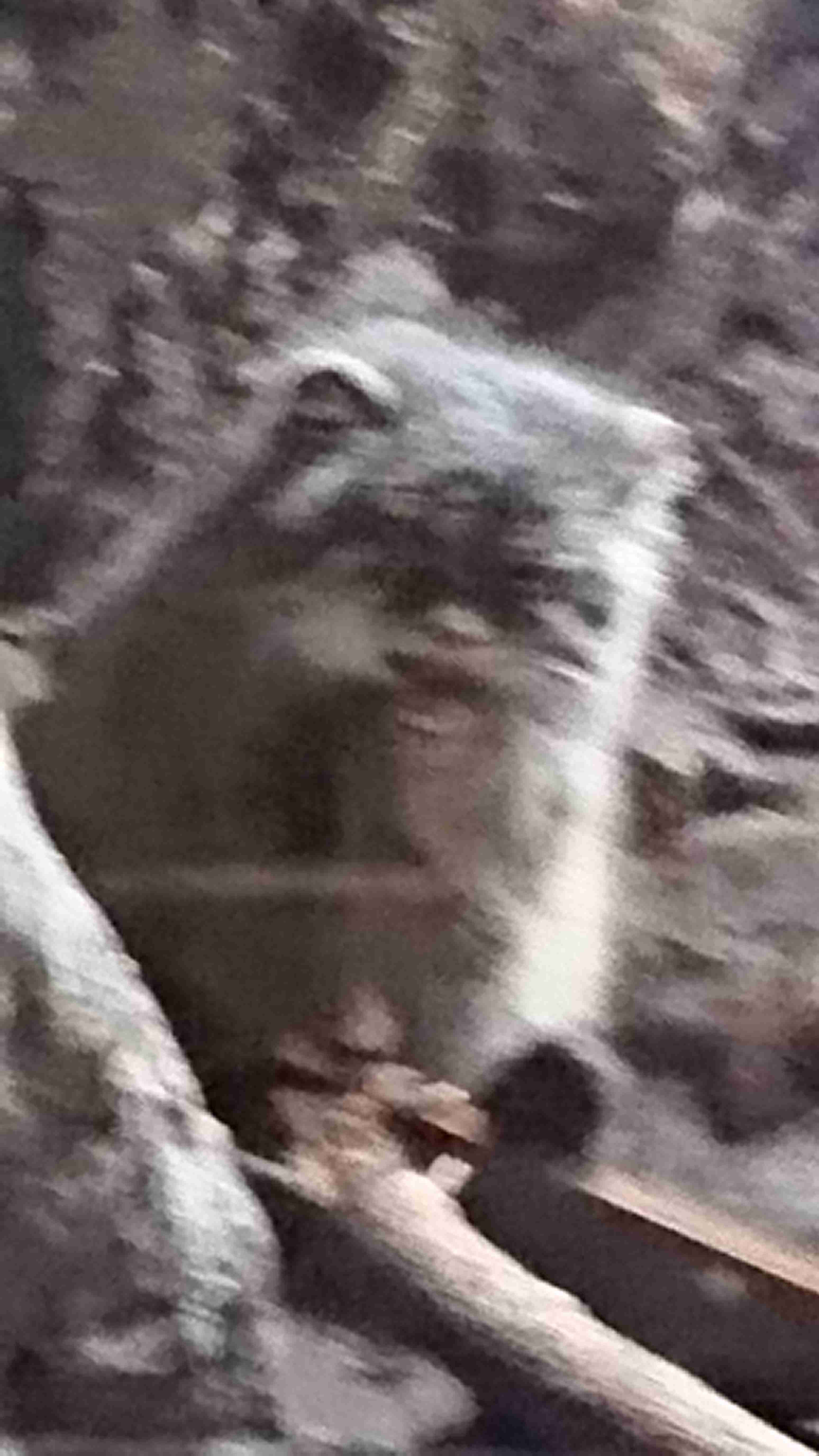 自分で撮ったちょっと残念な写りの写真を貼るトピ