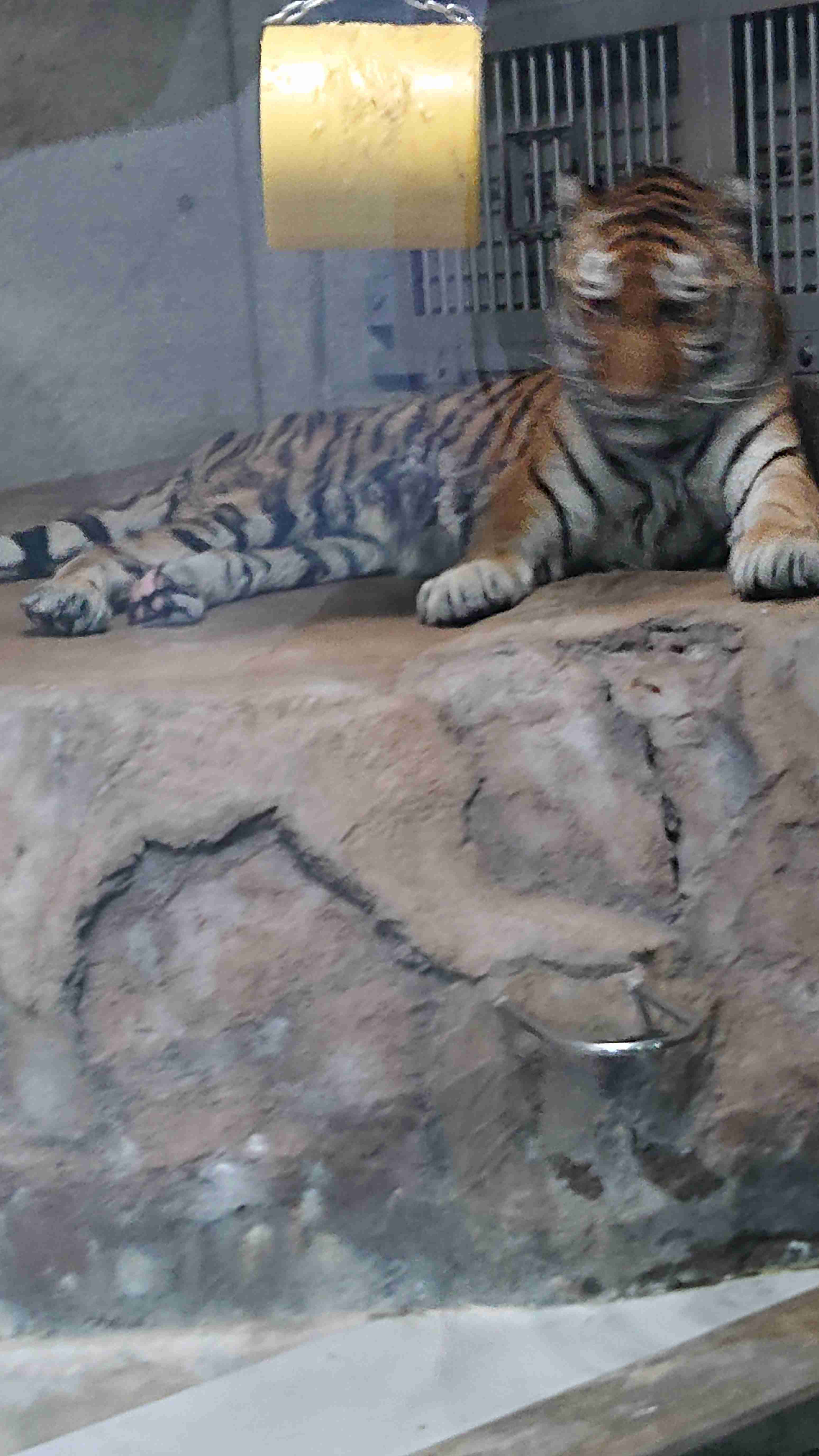 自分で撮ったちょっと残念な写りの写真を貼るトピ