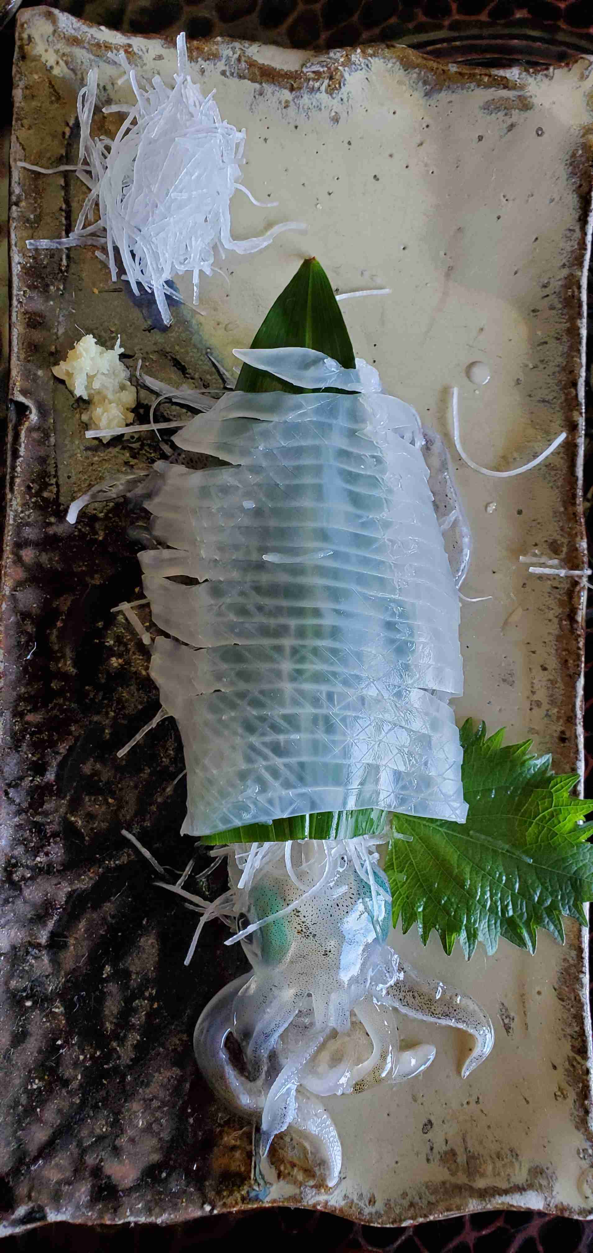 自分で撮ったちょっと残念な写りの写真を貼るトピ