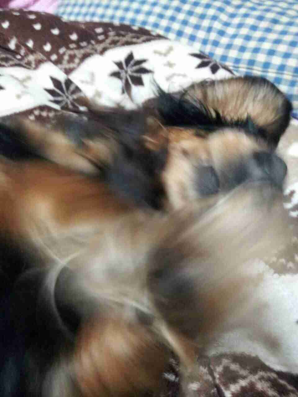 自分で撮ったちょっと残念な写りの写真を貼るトピ