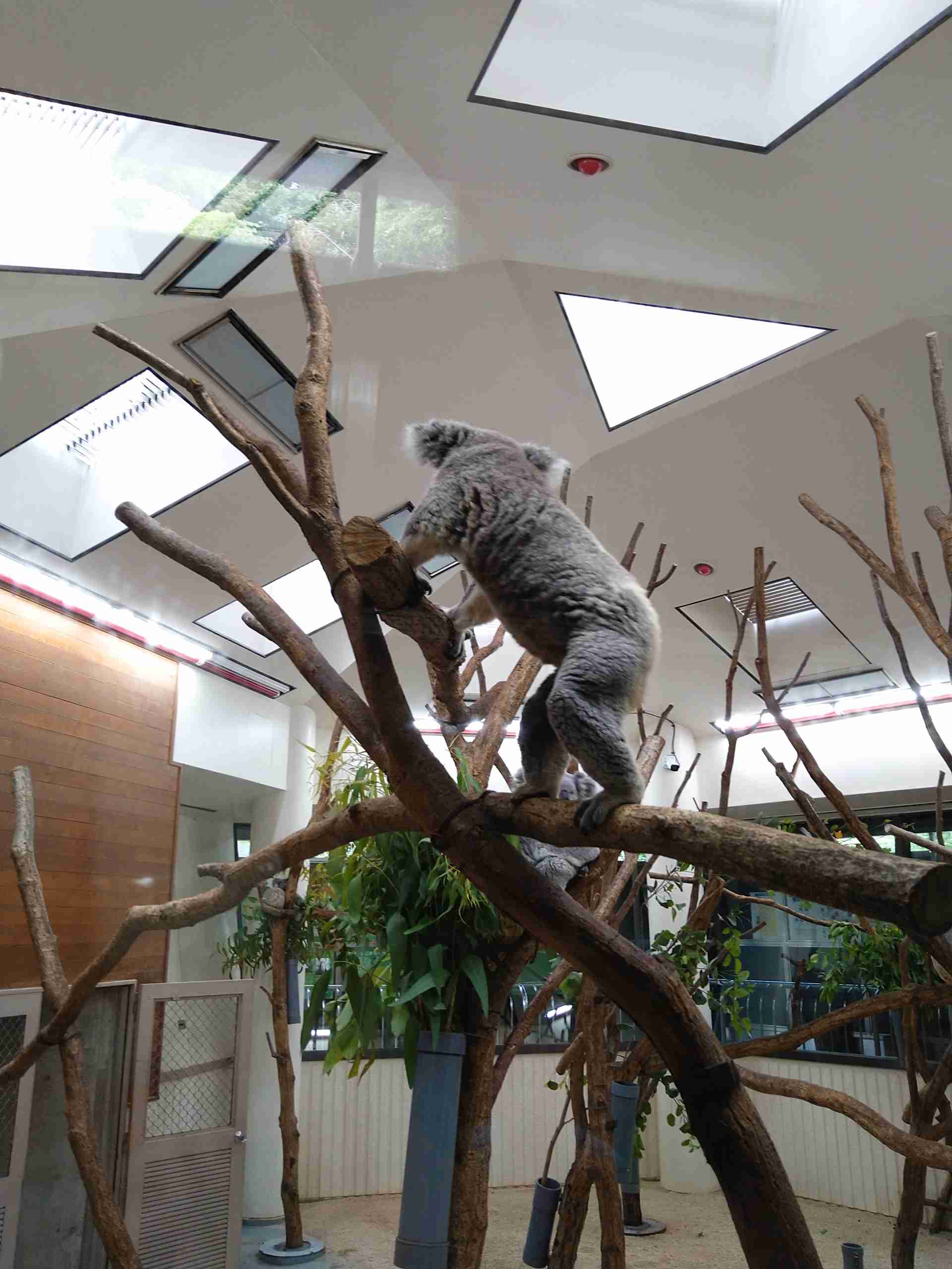 自分で撮ったちょっと残念な写りの写真を貼るトピ