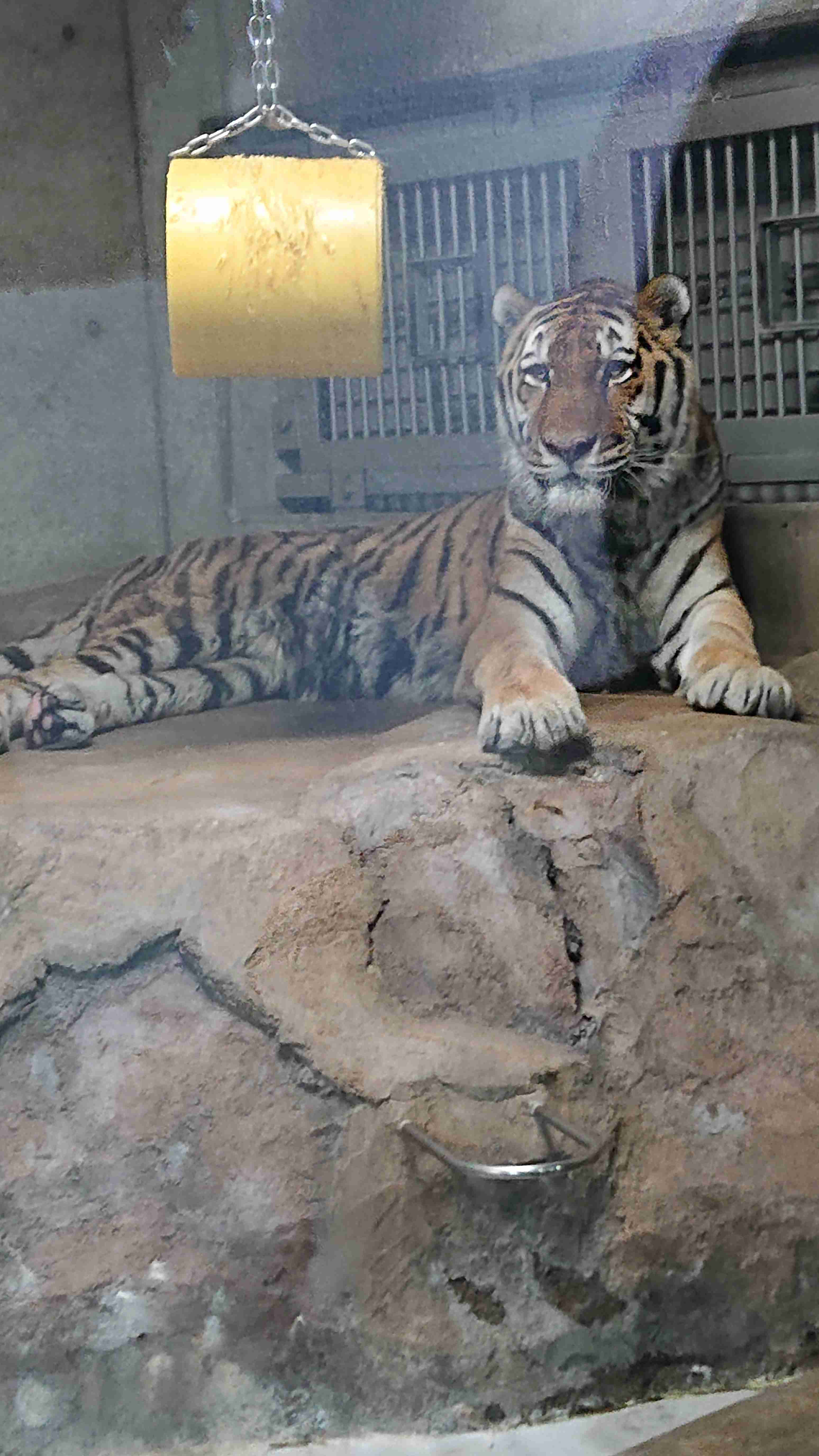 自分で撮ったちょっと残念な写りの写真を貼るトピ