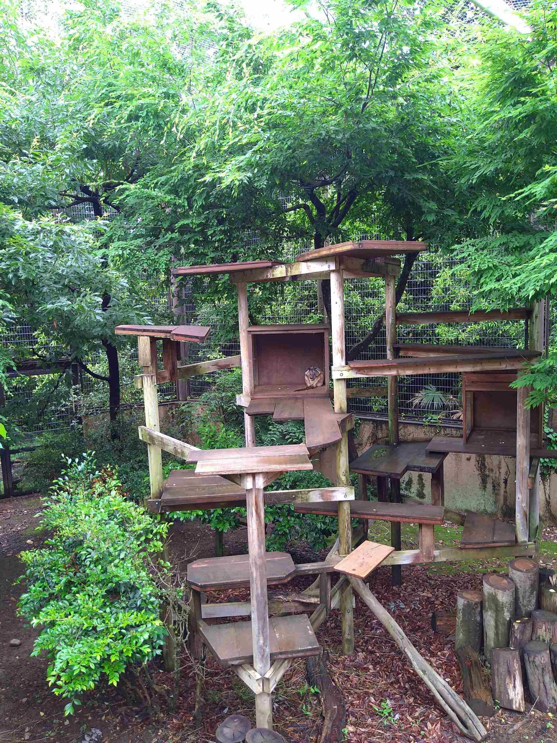 自分で撮ったちょっと残念な写りの写真を貼るトピ