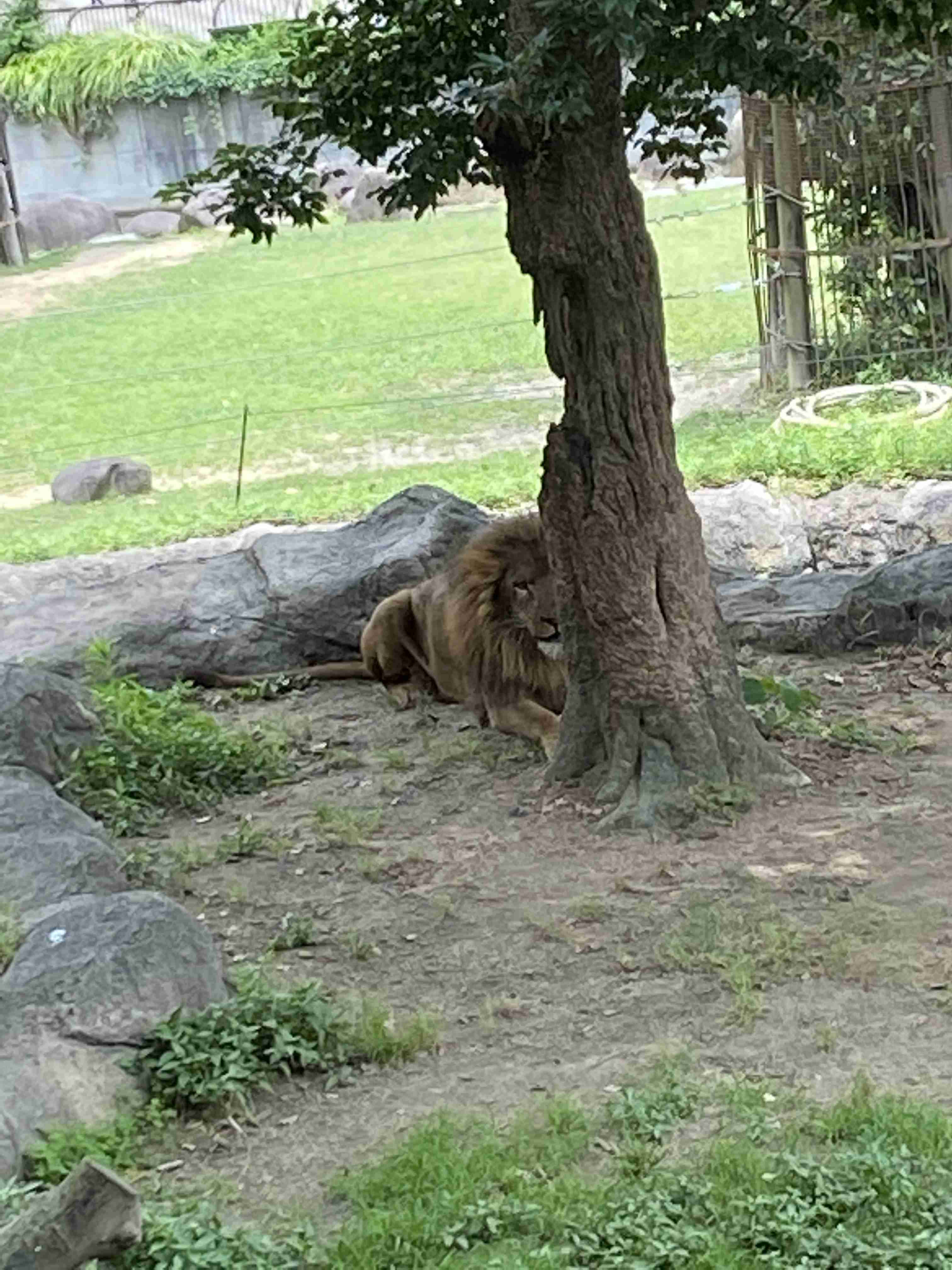 自分で撮ったちょっと残念な写りの写真を貼るトピ